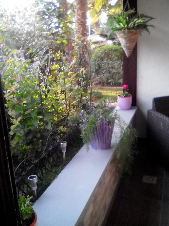 Apartment Poropat Porec Room photo
